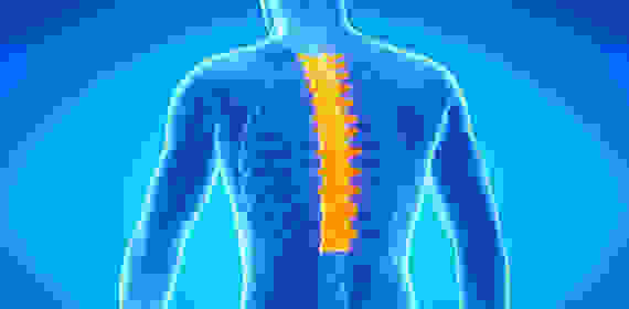 Боль в грудном отделе позвоночника