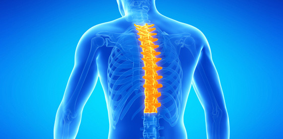 Боль в грудном отделе позвоночника