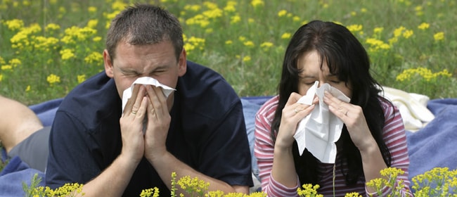 Профилактика гайморита