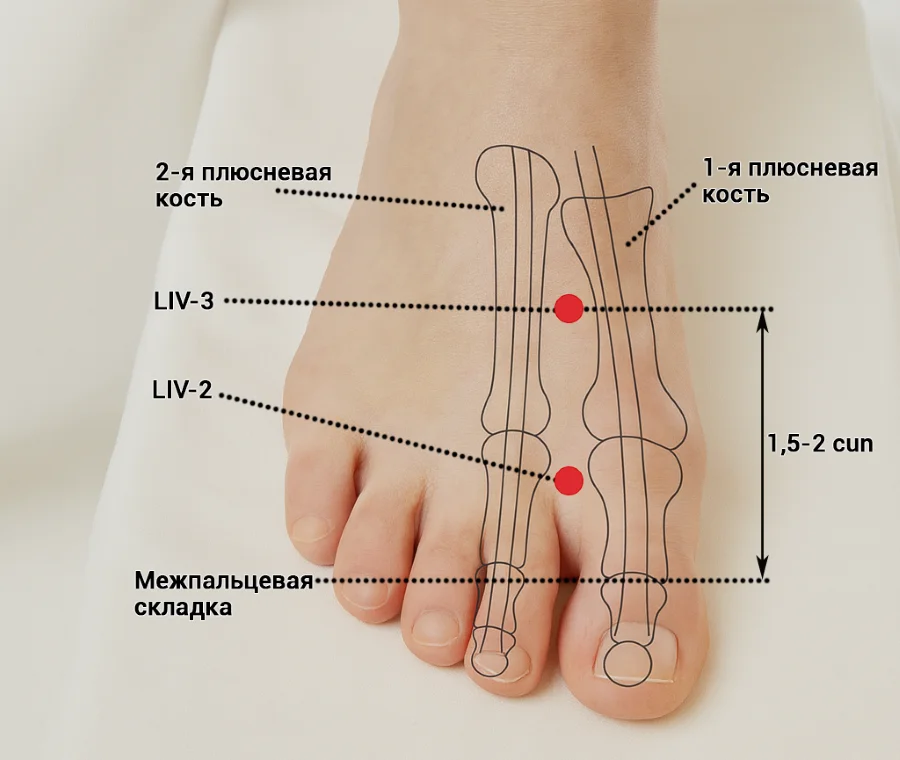 Акупунктурная точка Тай-чун (F3, Liv3)