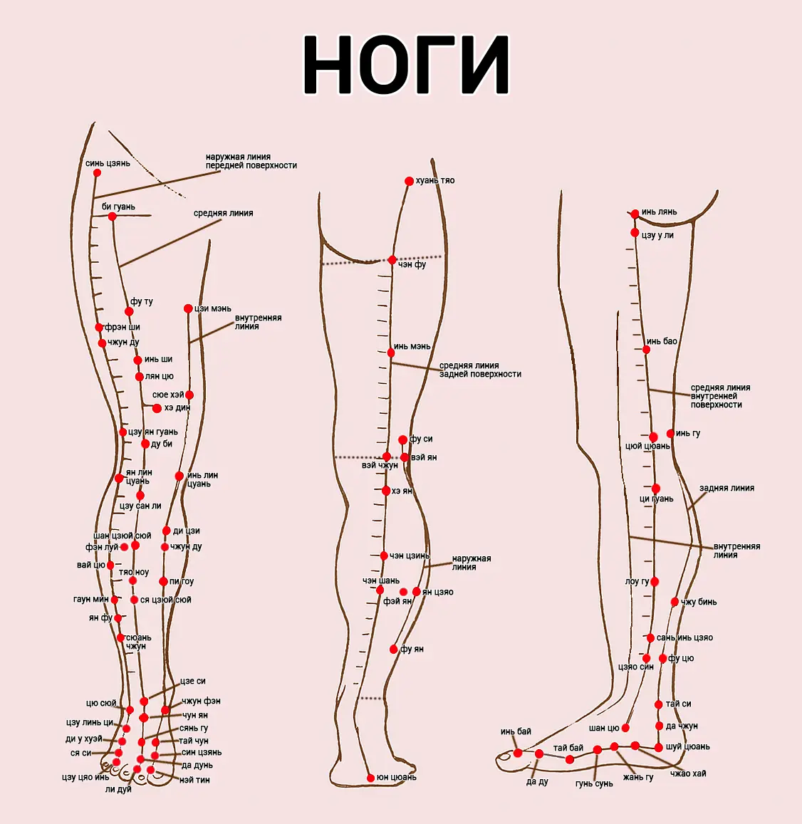 Акупунктурные точки на стопах ног