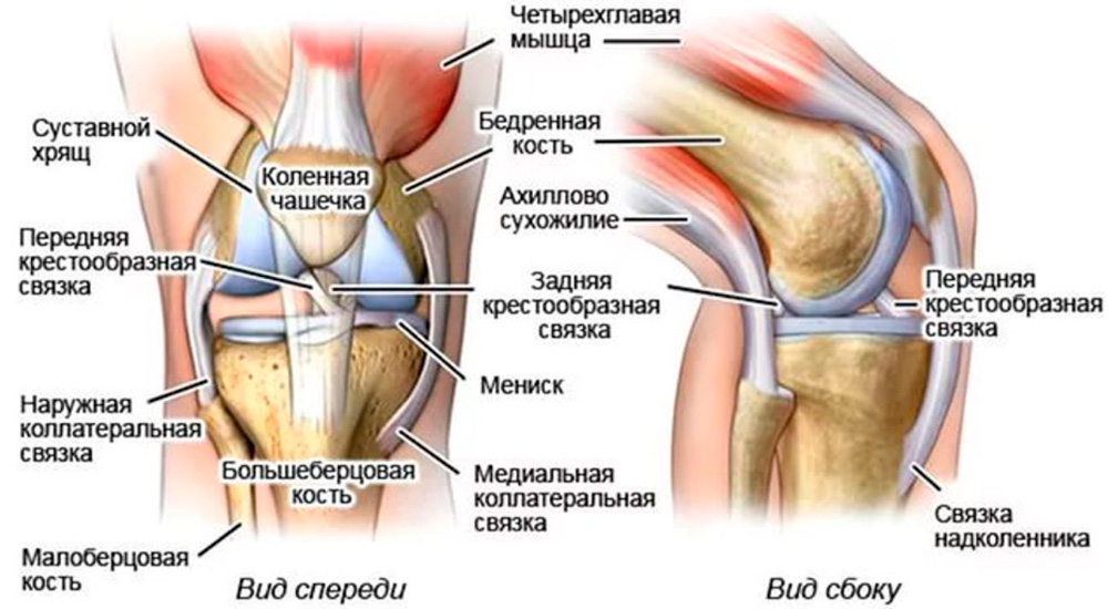 Хруст в коленях - причины появления, профилактика и лечение