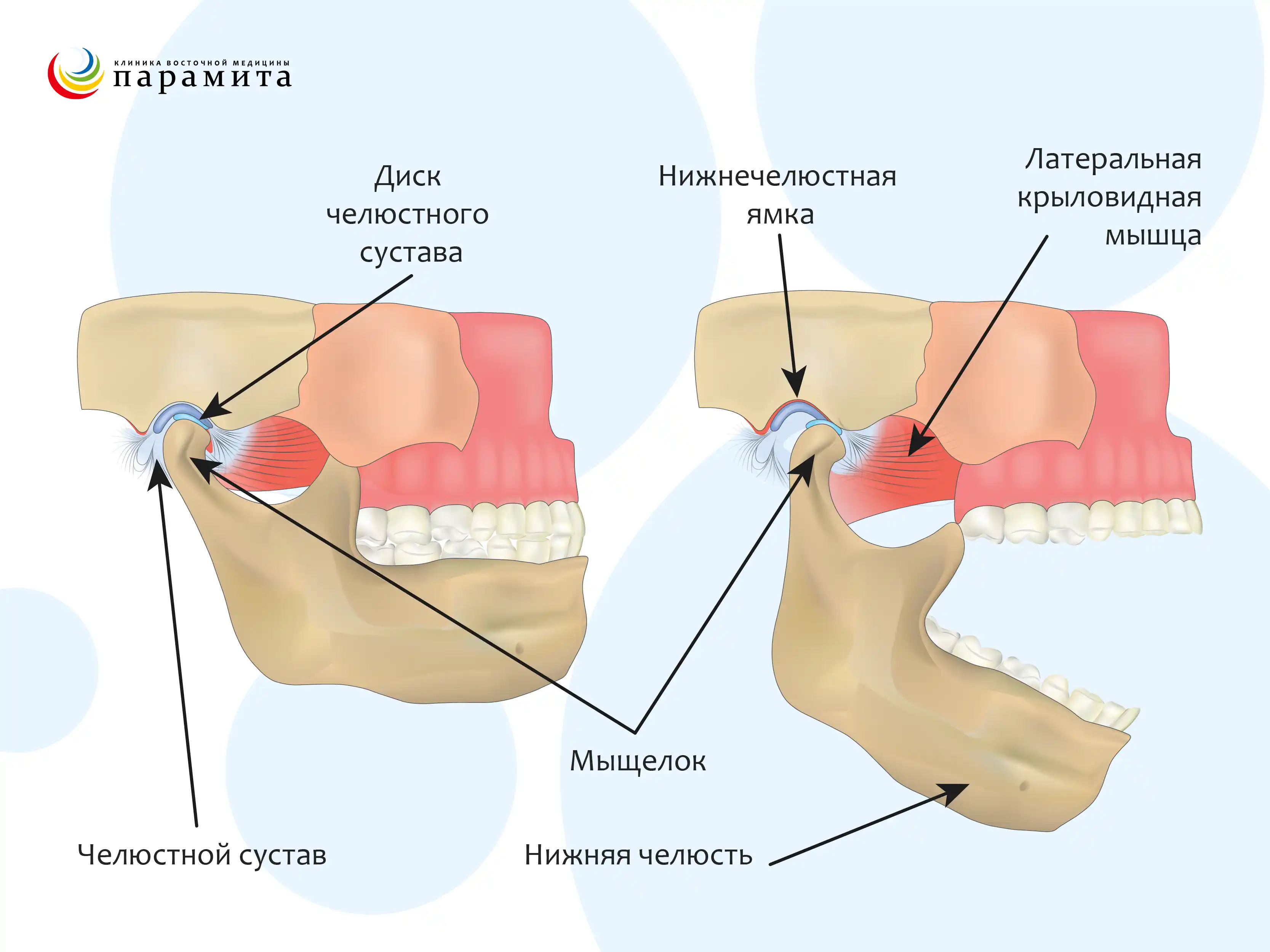 Боль в височно-нижнечелюстном суставе – новости и статьи Refformat