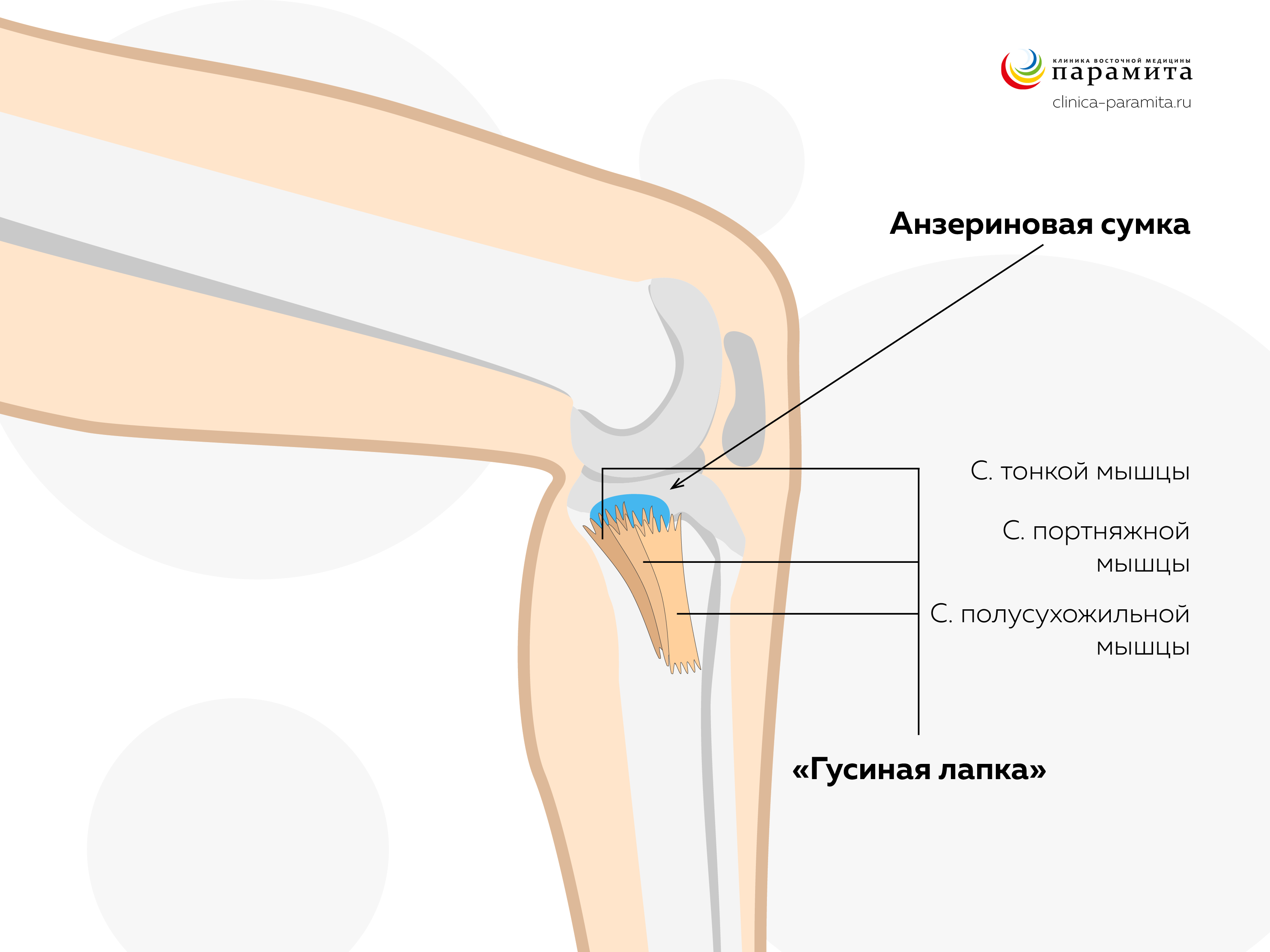 Ограничение доступа