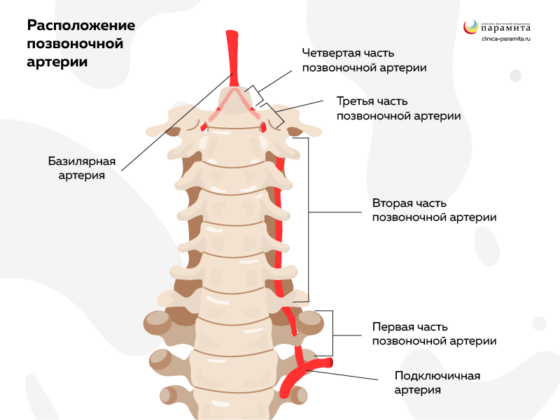 Как болит межпозвонковая грыжа диска позвоночника