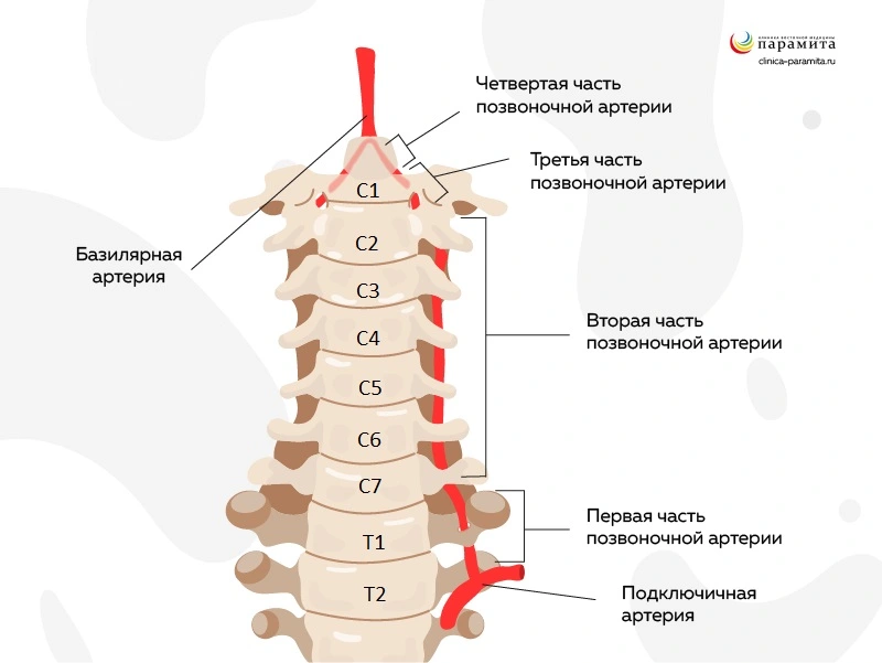 Боль в шее и затылке, отдающая в голову, при остеохондроз, причины и лечение