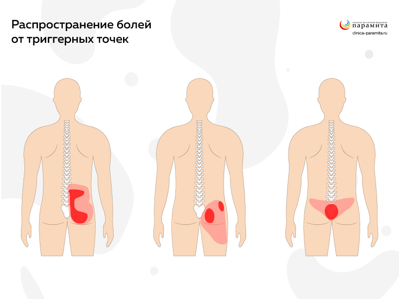 Какие мышцы работают во время езды на велосипеде