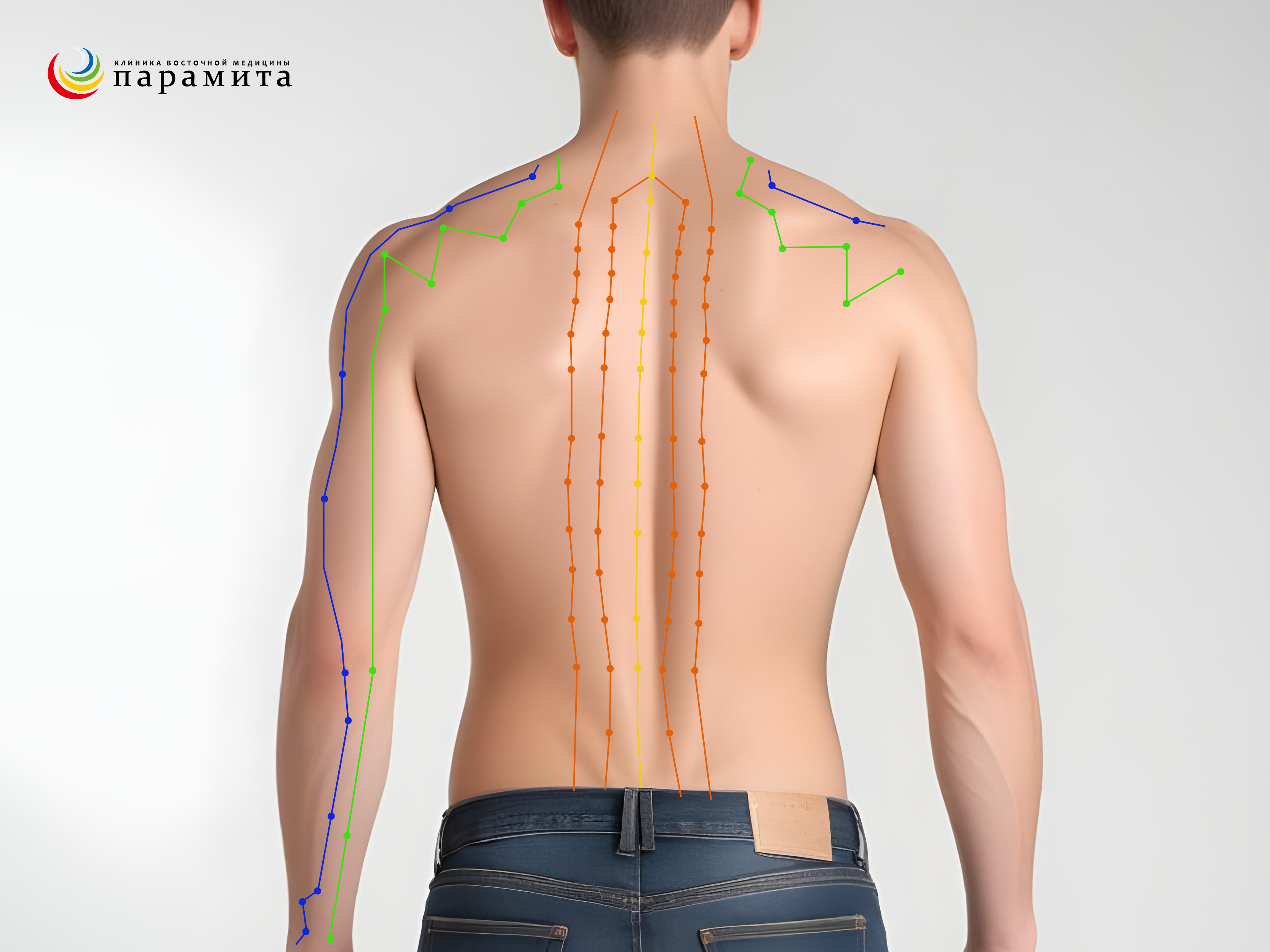 Мередианы на спине для точечного массажа