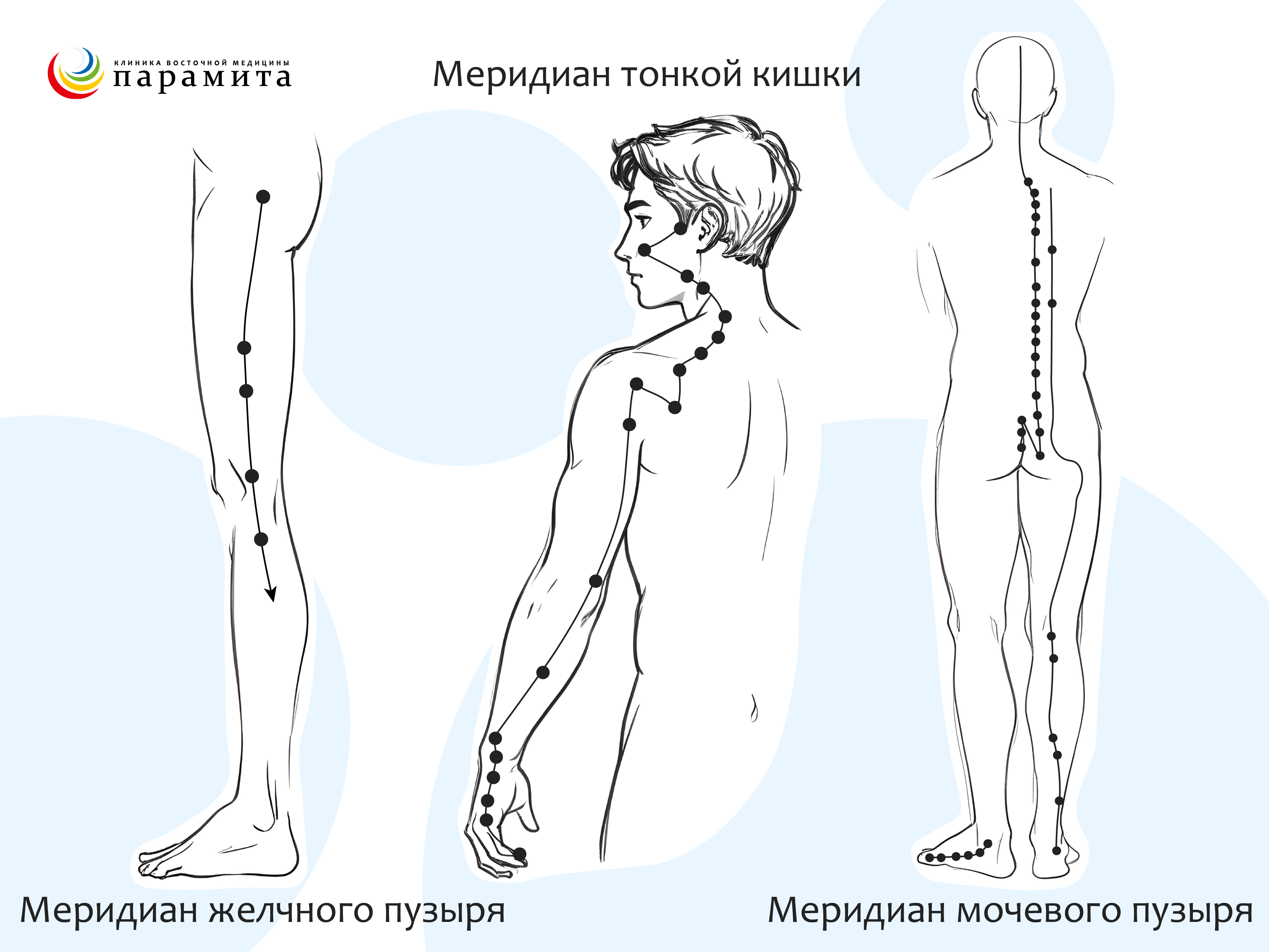 Меридианы мочевого пузыря, тонкой кишки и желчного пузыря