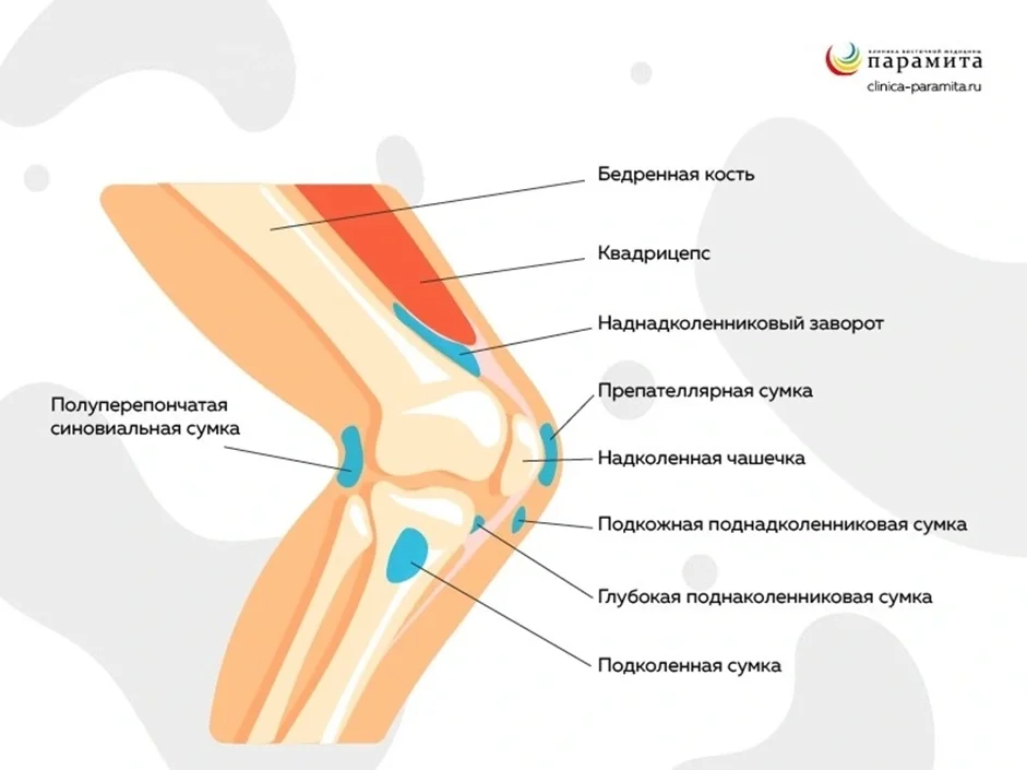 Бурсы в колене