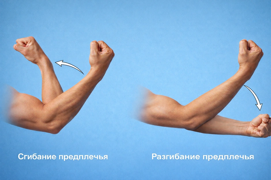 Выполнение сгибания и разгибания локтя