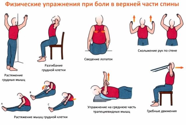 Біль у спині між лопатками - що робити? | slep-kostroma.ru - мережа магазинів медтехніки