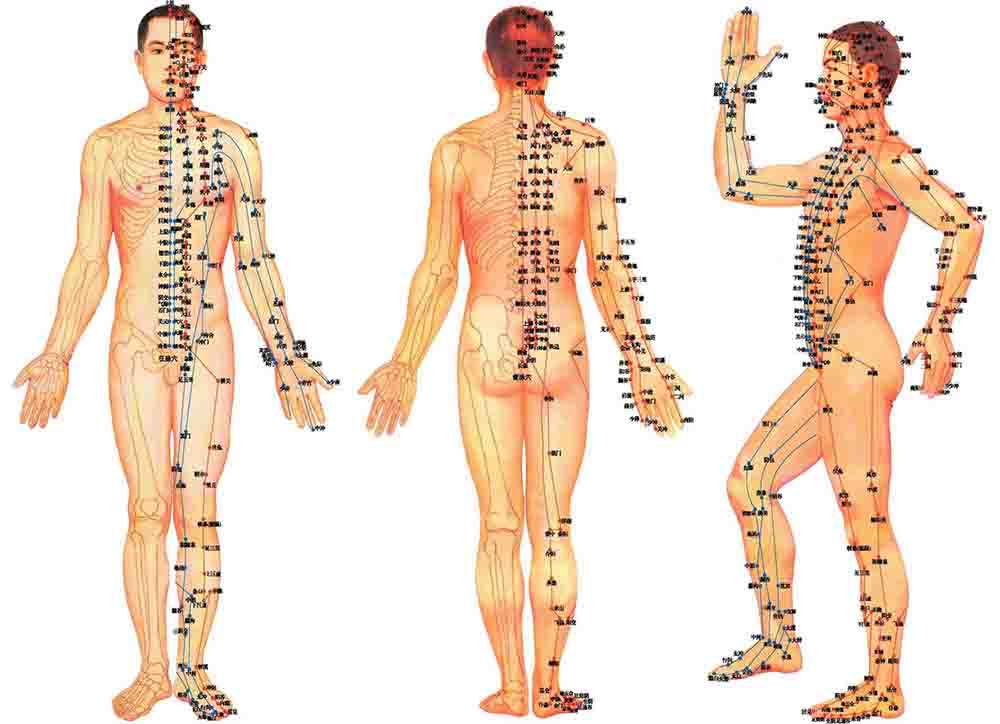 Схема акупунктурных точек на теле человека
